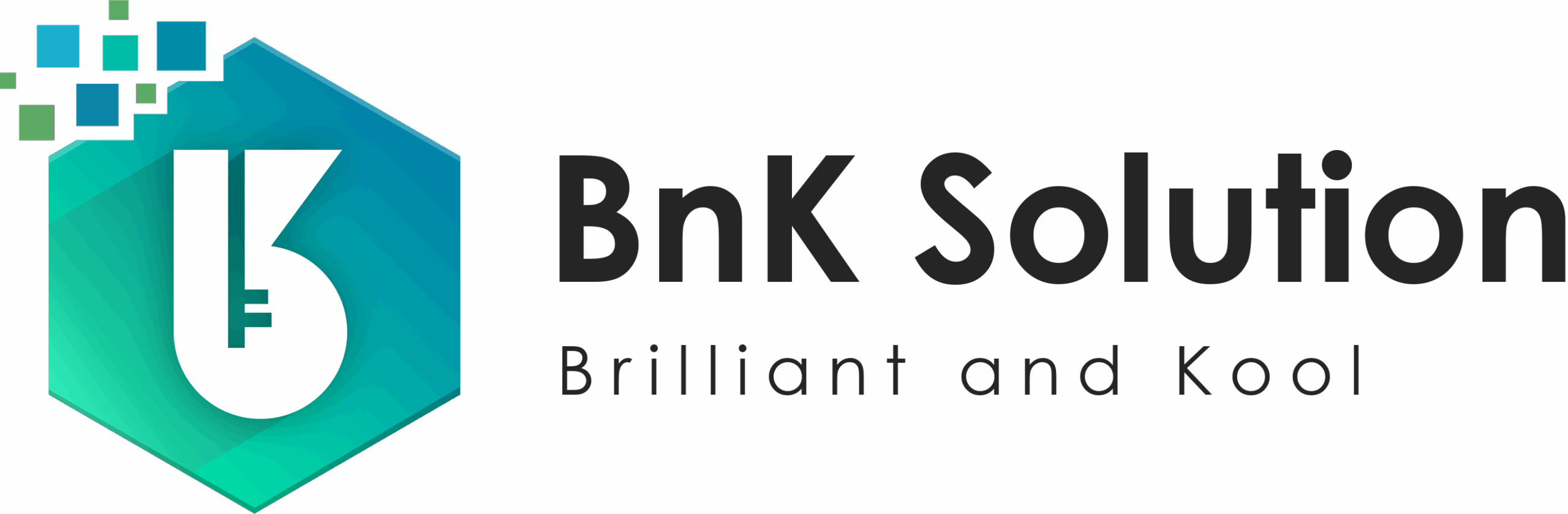 Công ty Cổ phần Giải pháp BnK